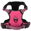 VIDAXL CANCHE DEL CANE CON STRUPE RIFREDUTTI REGOLABILE XL Rosa