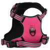 VIDAXL CANCHE DEL CANE CON STRUPE RIFREDUTTI REGOLABILE XL Rosa