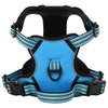 VIDAXL CARMINE DEL CANE CON CINTURA E COLLARE REGOLABILE M BLU