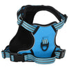 Plataforma de perro Vidaxl con cinturón y collar XL Azul XL