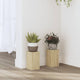 Estándares de planta Vidaxl 2 PCS 10x10x18 cm de madera procesada Sonoma Oak