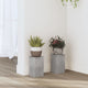 Vidaxl Planting Stands 2 PCS 10x10x18 cm Precio de concreto de madera procesada