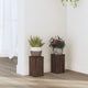 Estándares de planta Vidaxl 2 ST 10x10x18 cm de roble marrón de madera procesada