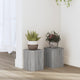 Estándares de plantas Vidaxl 2 PCS 15x15x20 cm de madera procesada Sonoma