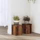 Estándares de plantas Vidaxl 2 ST 15x15x20 cm Madera procesada Madera vieja coloreada