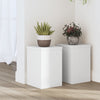 Estándares de planta Vidaxl 2 ST 20X20x30 cm de madera procesada blanca