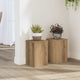 Vidaxl Planting Stands 2 PCS 20x20x30 cm de roble artesanal de madera