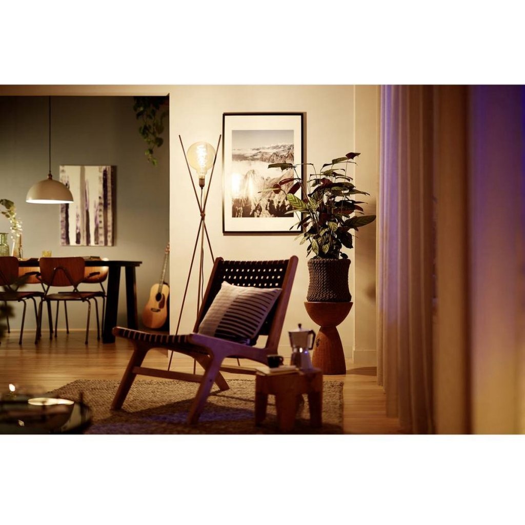 Philips vintage led dimbare globe g95 e27 60w amberkleurig glas