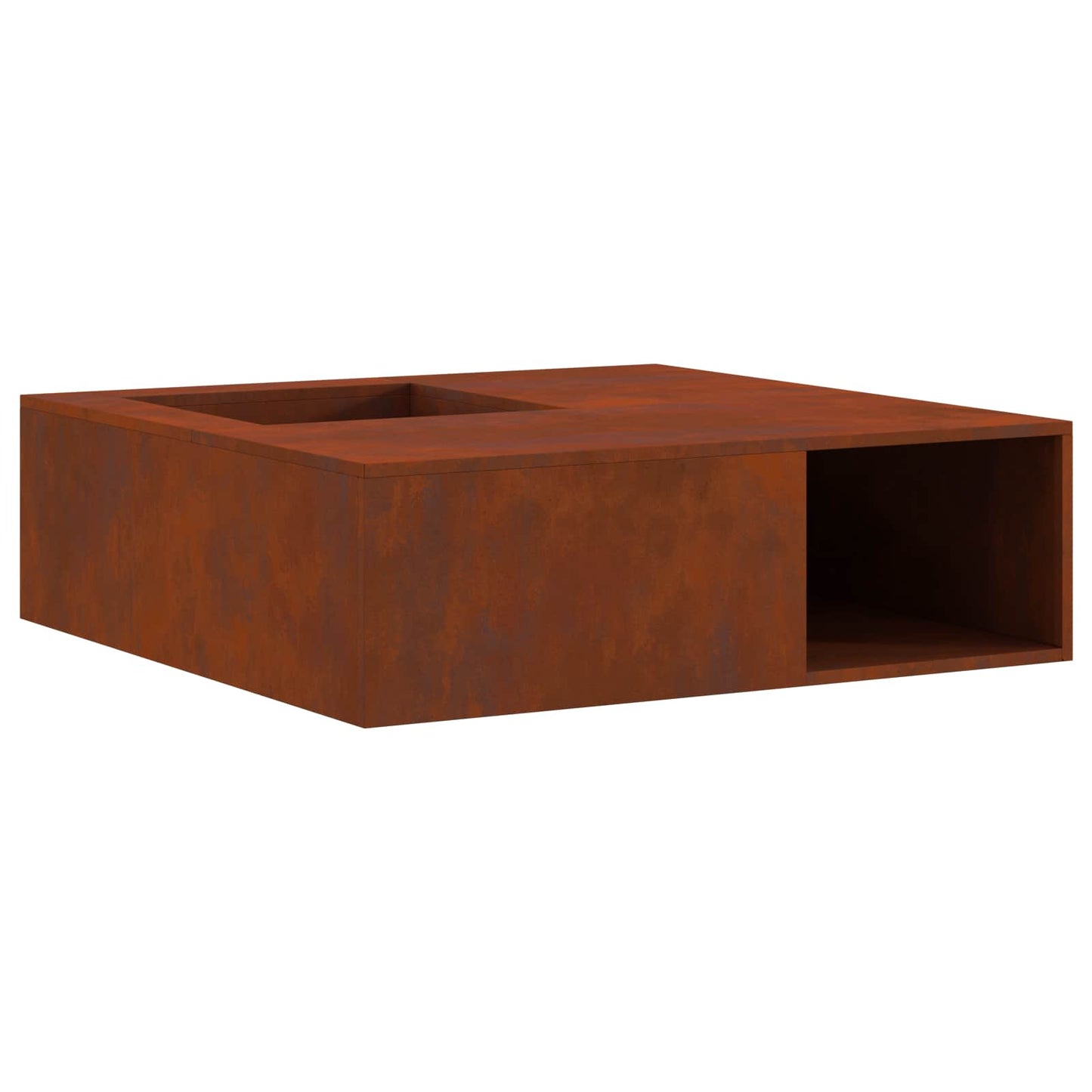 Vidaxl vuurkorf bruin 100 x 100 x 30 cm cortenstaal