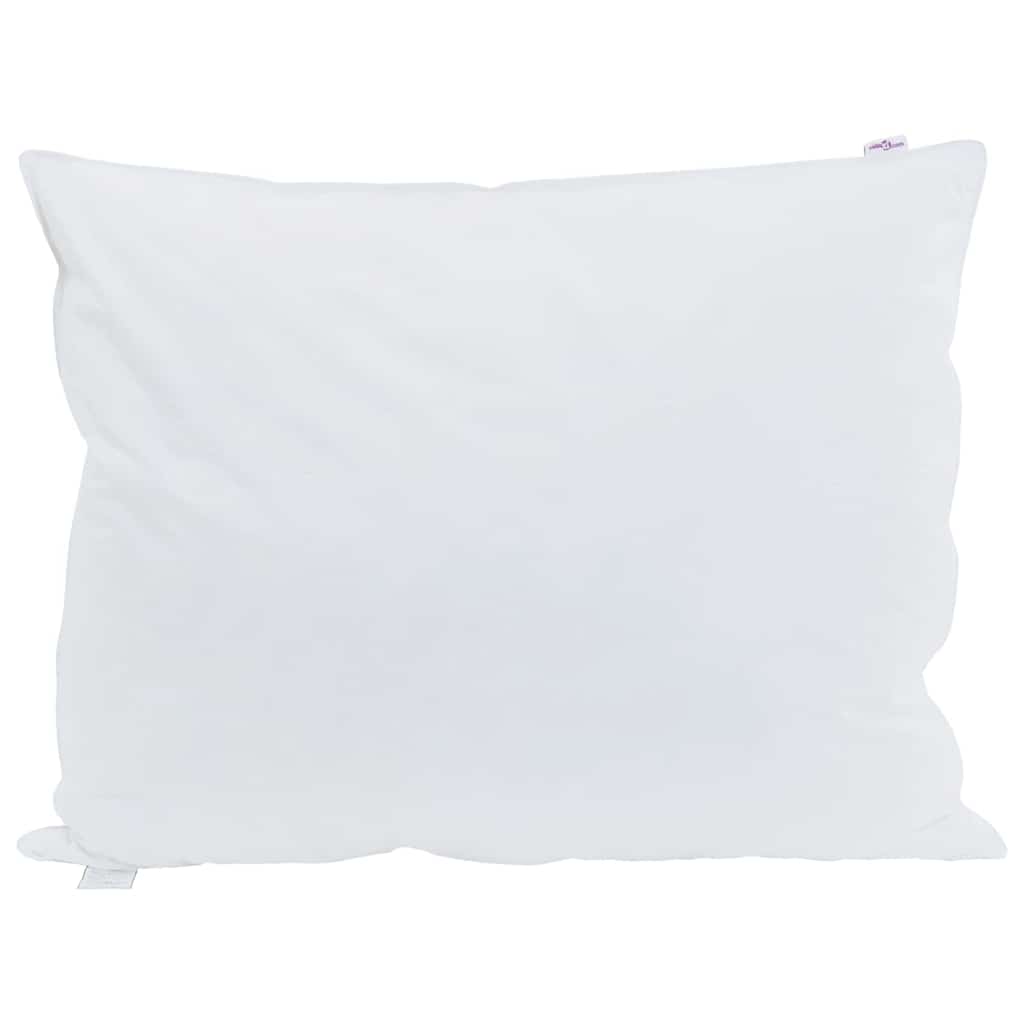 Cuscino Vidaxxl con cuscino 2 pezzi piume bianche 40 x 60 cm