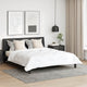 Cuscino Vidaxxl con cuscino 2 pezzi bianco 65 x 65 cm in cotone