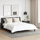 Cuscino Vidaxxl con cuscino 2 pezzi bianco 80 x 80 cm in cotone