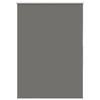 Vidaxx estor enrollable opaco 105x150 cm tela ancho 100,7 cm gris