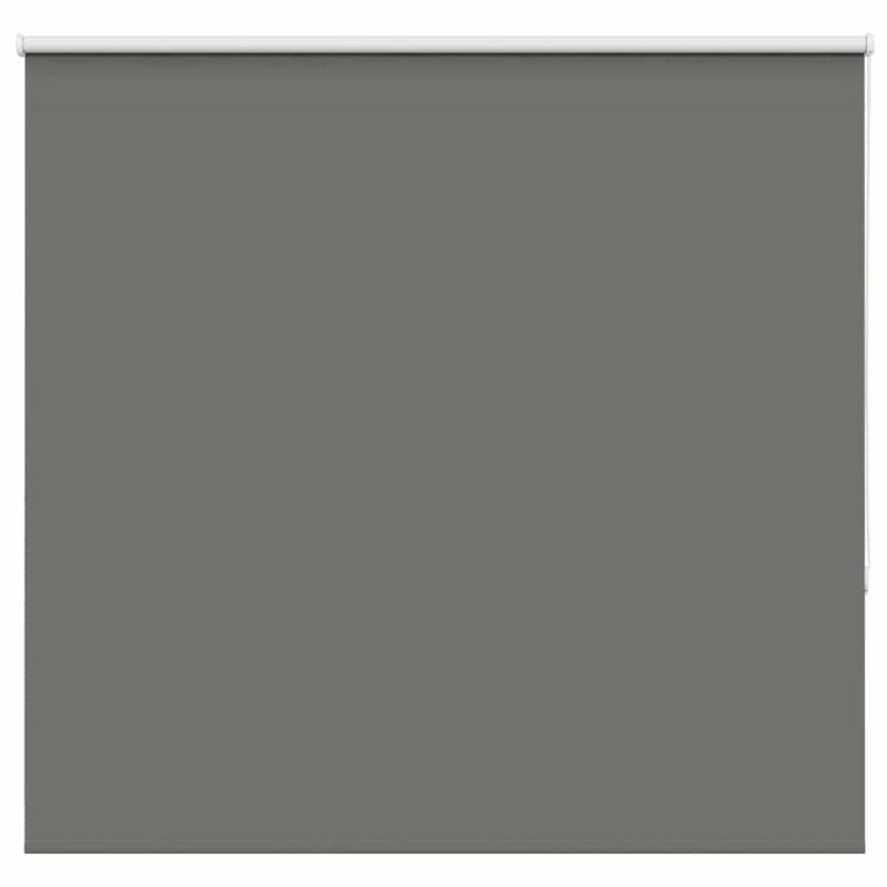 Vidaxx estor enrollable opaco 165x175 cm ancho de tela 161,6 cm gris