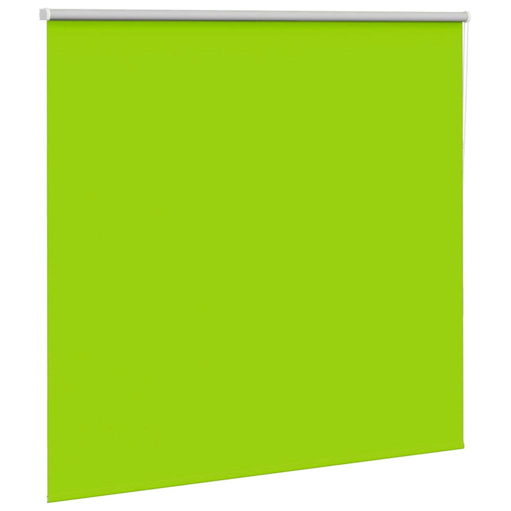 Estor enrollable opaco Vidaxx 150x175 cm ancho de tela 146,6 cm