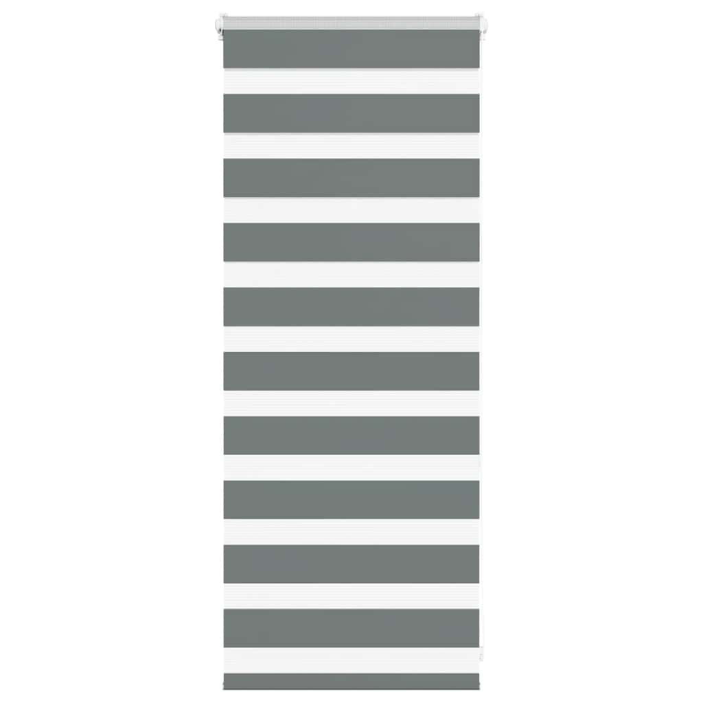 Vidaxl Zebra Roller Blind 55x100 cm Larghezza polvere 50,9 cm Grigio scuro