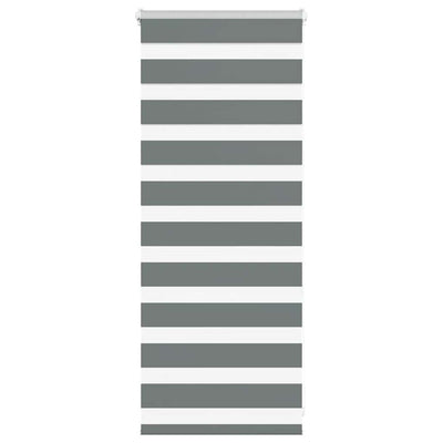 Vidaxl Zebra Roller Blind 55x100 cm Larghezza polvere 50,9 cm Grigio scuro