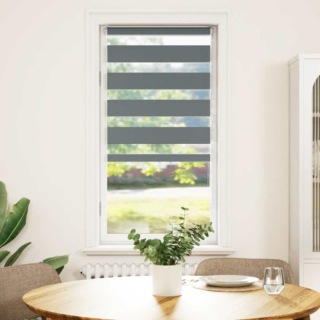 Vidaxl Zebra Roller Blind 60x100 cm Ancho de polvo de gris oscuro 55.9 cm