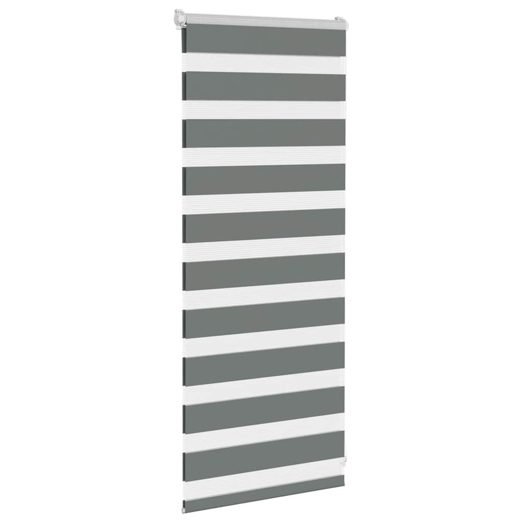 Vidaxl Zebra Roller Blind 60x100 cm Ancho de polvo de gris oscuro 55.9 cm