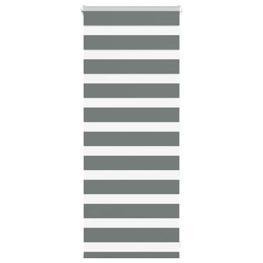 Vidaxl Zebra Roller Blind 65x100 cm Larghezza tessuto 60,9 cm Grigio scuro