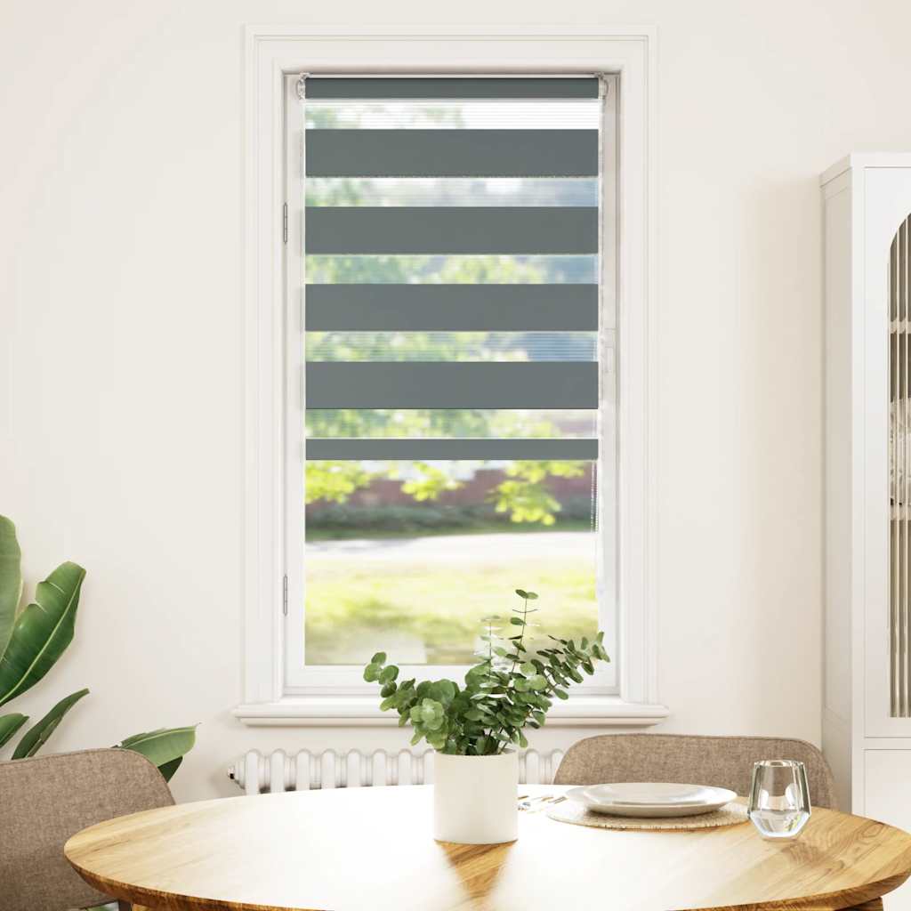 Vidaxl Zebra Roller Blind 65x100 cm Larghezza tessuto 60,9 cm Grigio scuro