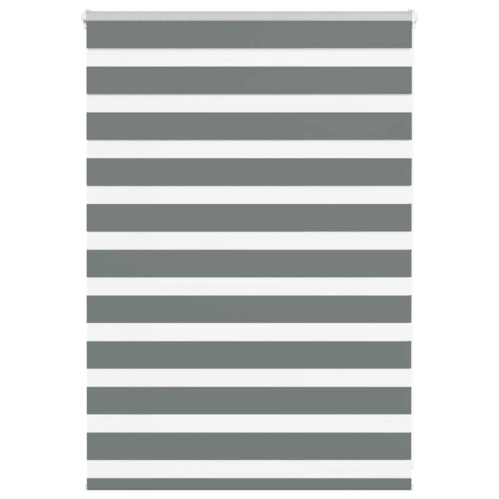 Vidaxl Zebra Roller Blind 100x100 cm ancho de polvo 95.9 cm de gris oscuro