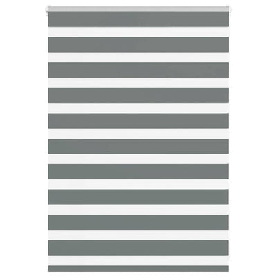 Vidaxl Zebra Roller Blind 100x100 cm ancho de polvo 95.9 cm de gris oscuro