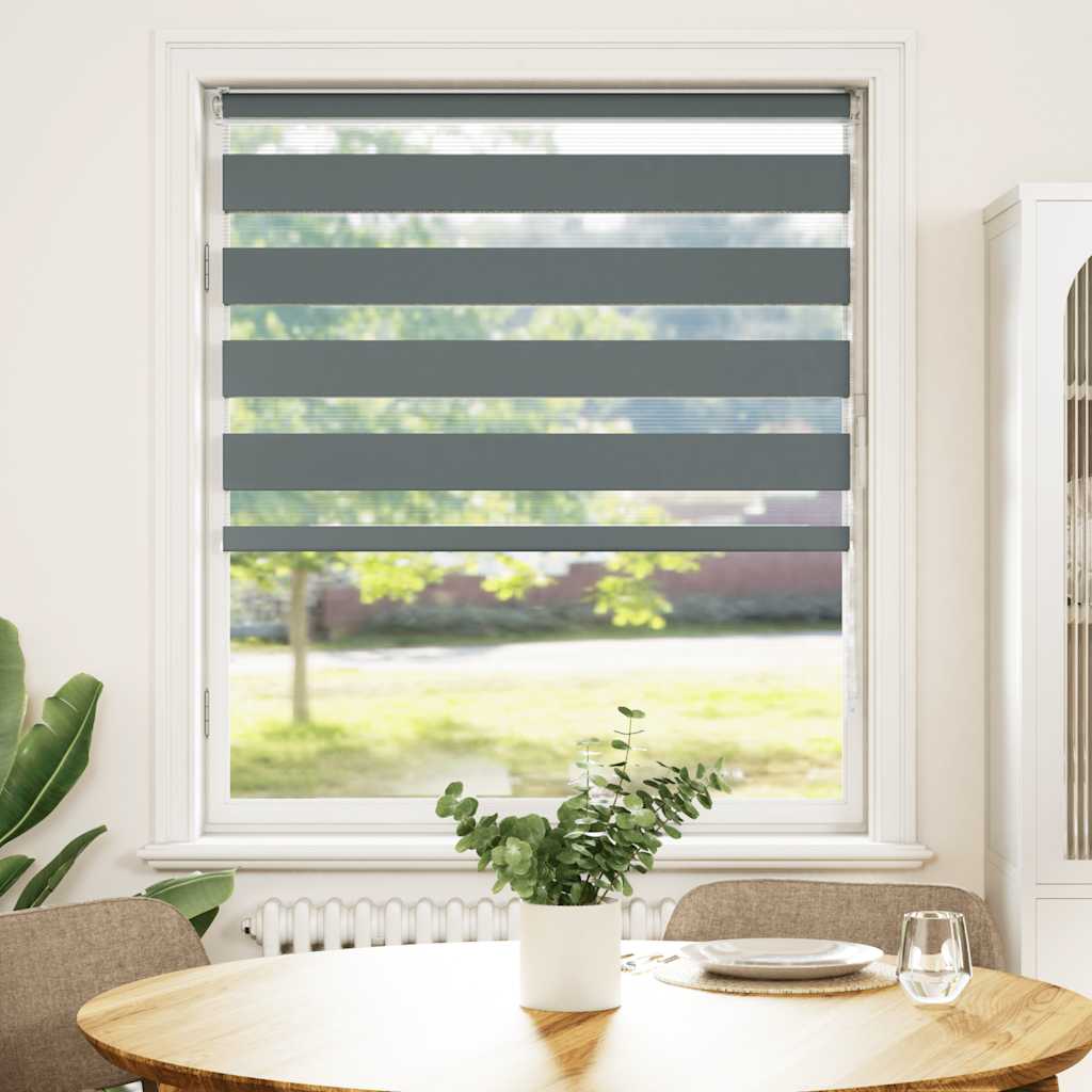 Vidaxl Zebra Roller Blind 100x100 cm ancho de polvo 95.9 cm de gris oscuro