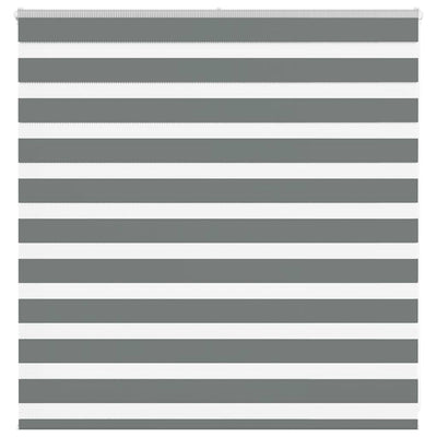 Vidaxl zebra rullo cieco 140x100 cm Larghezza polvere 135,9 cm grigio scuro