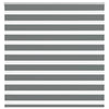 Vidaxl Zebra Roller Blind 150x100 cm ancho de polvo 145.9 cm de color gris oscuro