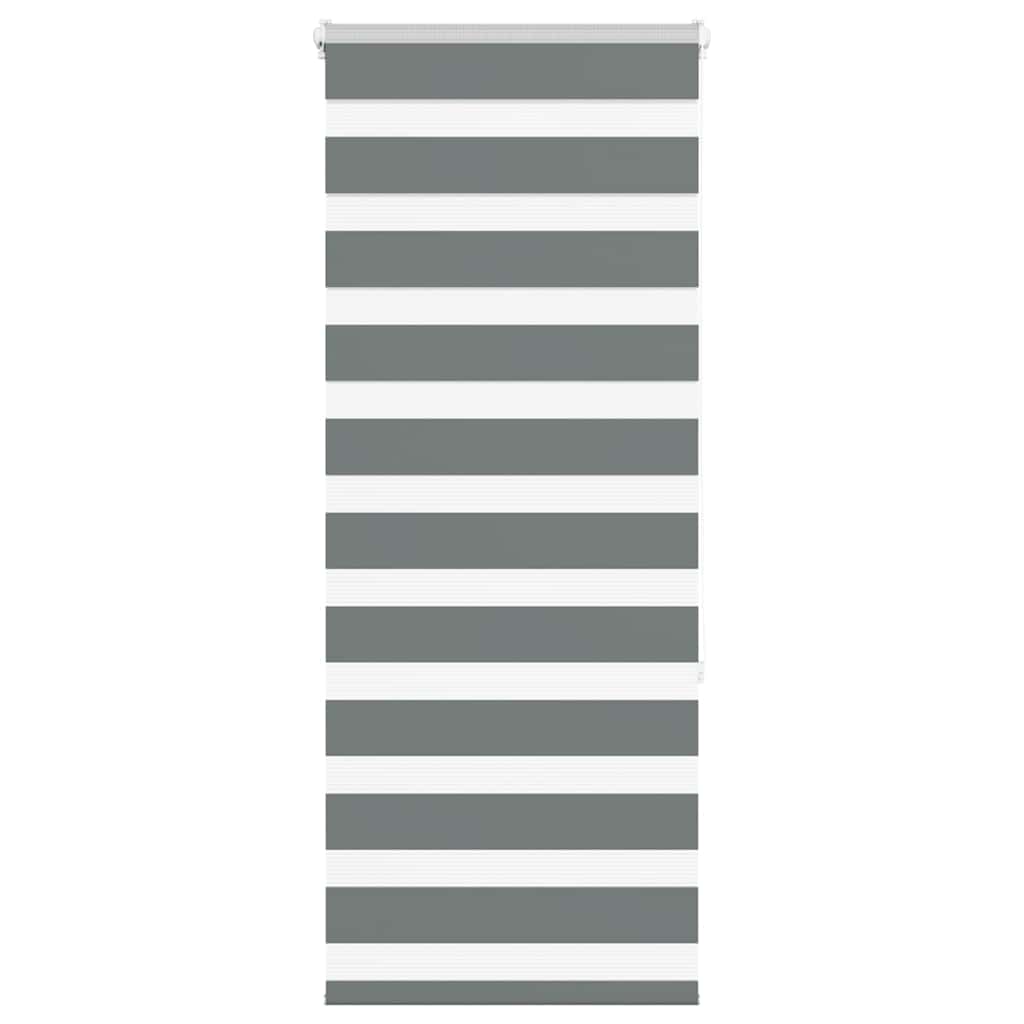 Vidaxl Zebra Roller Blind 55x150 cm de ancho de polvo de 50,9 cm de gris oscuro