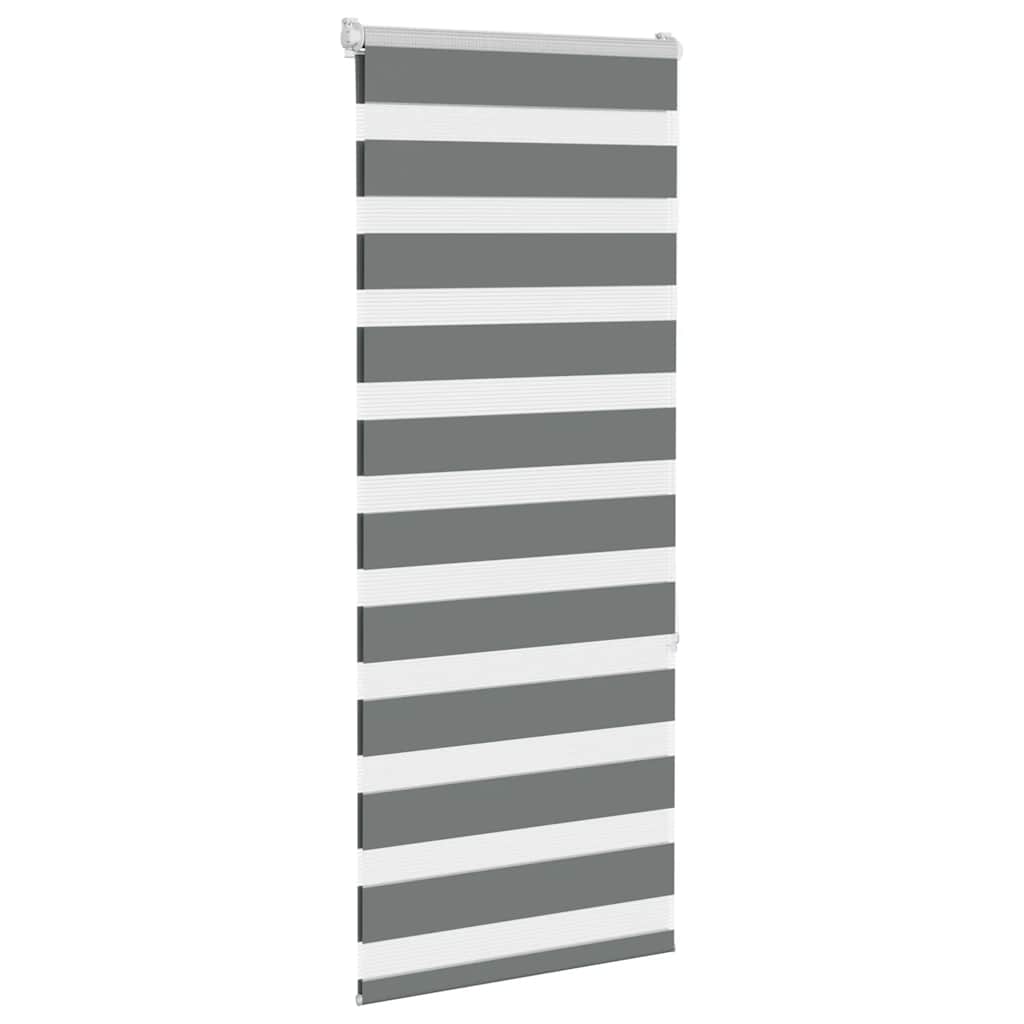 Vidaxl Zebra Roller Blind 55x150 cm de ancho de polvo de 50,9 cm de gris oscuro