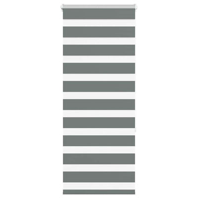 Vidaxl zebra rullo cieco 65x150 cm Larghezza tessuto 60,9 cm grigio scuro