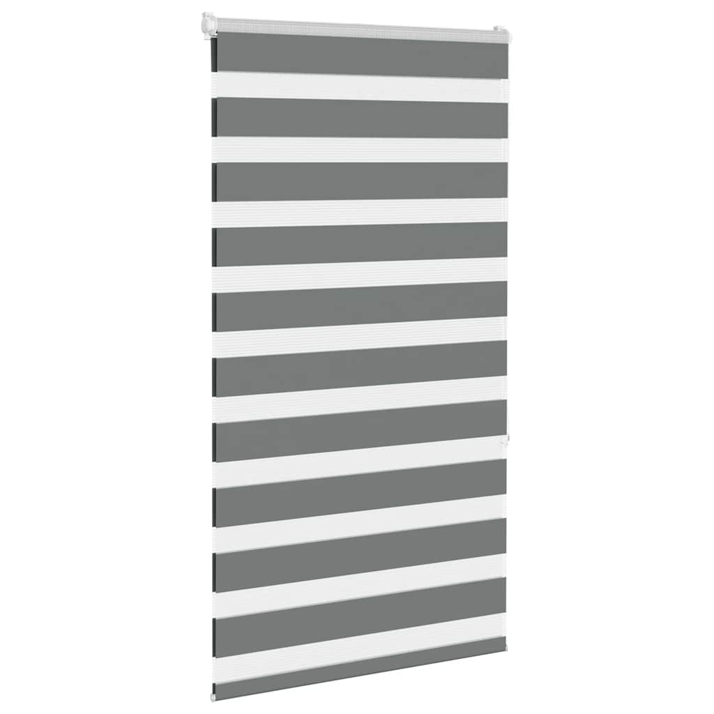 Vidaxl Zebra Roller Blind 70x150 cm de polvo ancho de 65.9 cm de gris oscuro