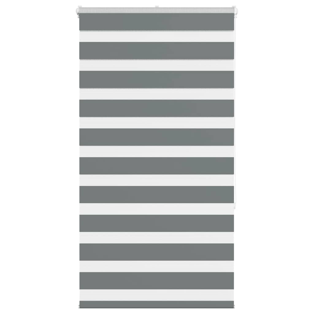 Vidaxl zebra rullo cieco 75x150 cm Larghezza tessuto 70,9 cm grigio scuro