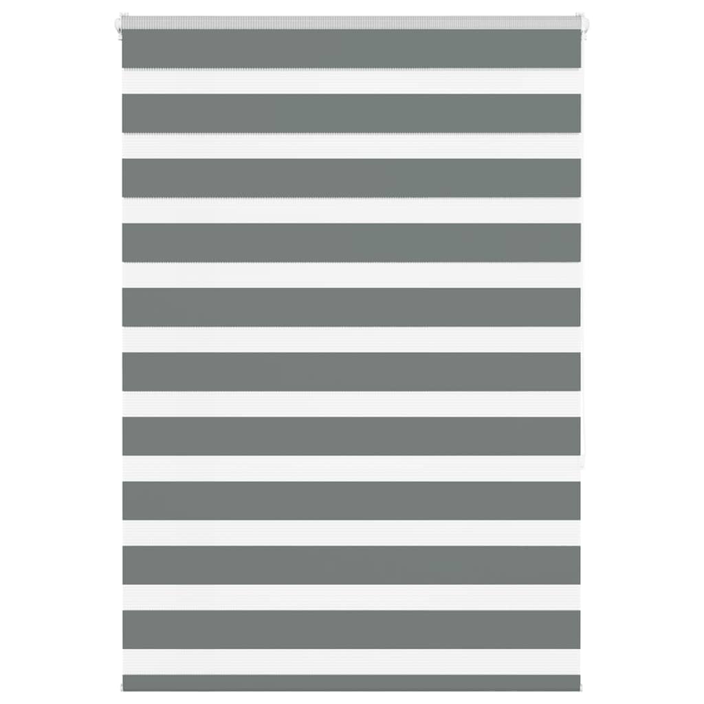 Vidaxl Zebra Roller Blind 100x150 cm ancho de polvo 95.9 cm de gris oscuro