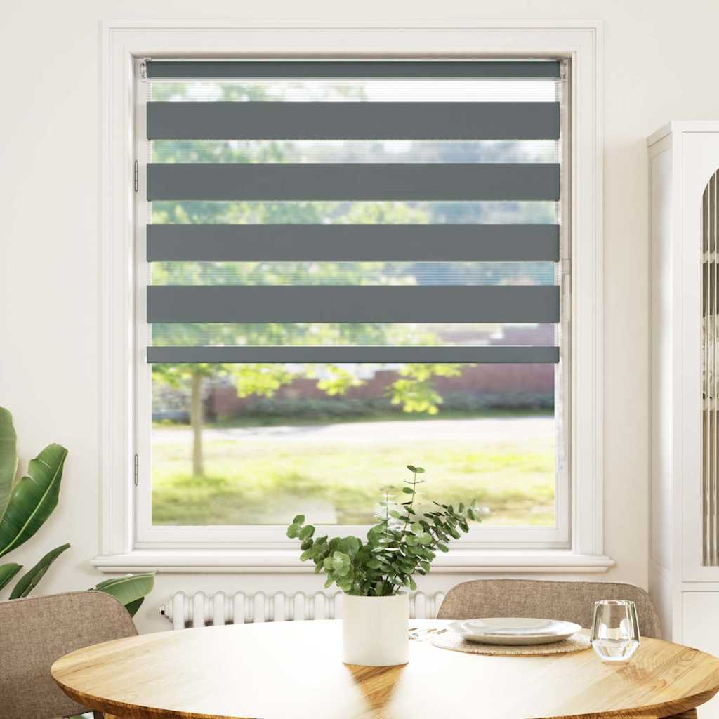 Vidaxl Zebra Roller Blind 100x150 cm ancho de polvo 95.9 cm de gris oscuro