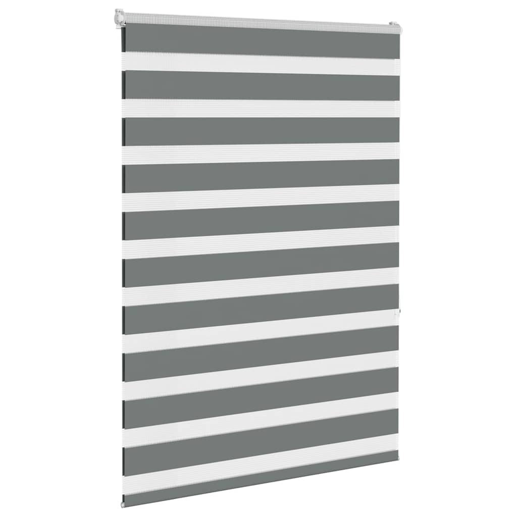 Vidaxl Zebra Roller Blind 100x150 cm ancho de polvo 95.9 cm de gris oscuro