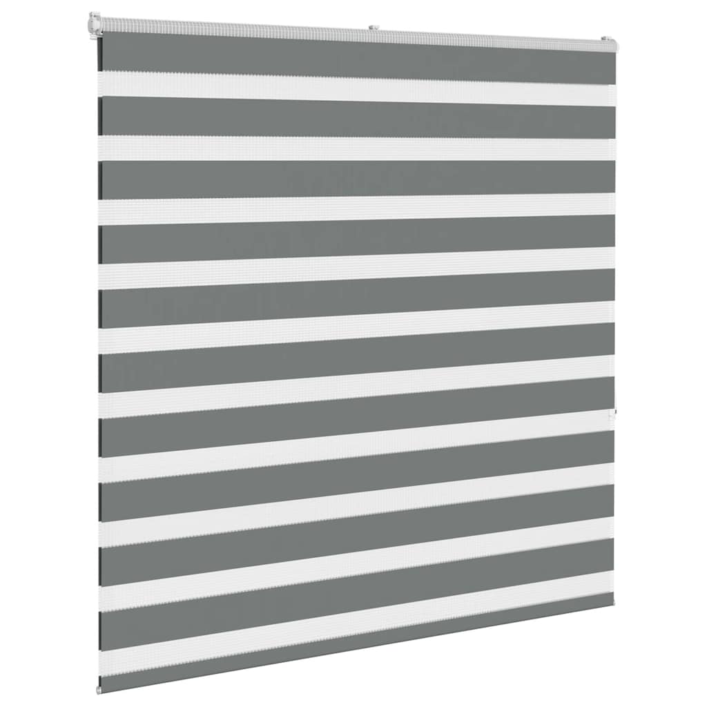 Tenda a rullo VidaXL zebrata 145x150 cm larghezza tessuto 140,9 cm grigio scuro