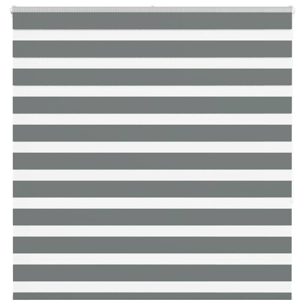 VidaXL estor enrollable cebra 150x150 cm tela ancho 145,9 cm gris oscuro