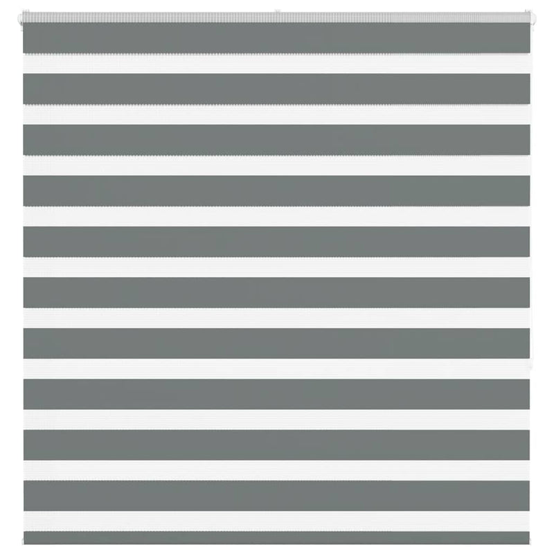 VidaXL estor enrollable cebra 150x150 cm tela ancho 145,9 cm gris oscuro