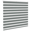 Tenda a rullo VidaXL zebrata 155x150 cm larghezza tessuto 150,9 cm grigio scuro