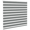 VidaXL estor enrollable cebra 165x150 cm ancho de tela 160,9 cm gris oscuro