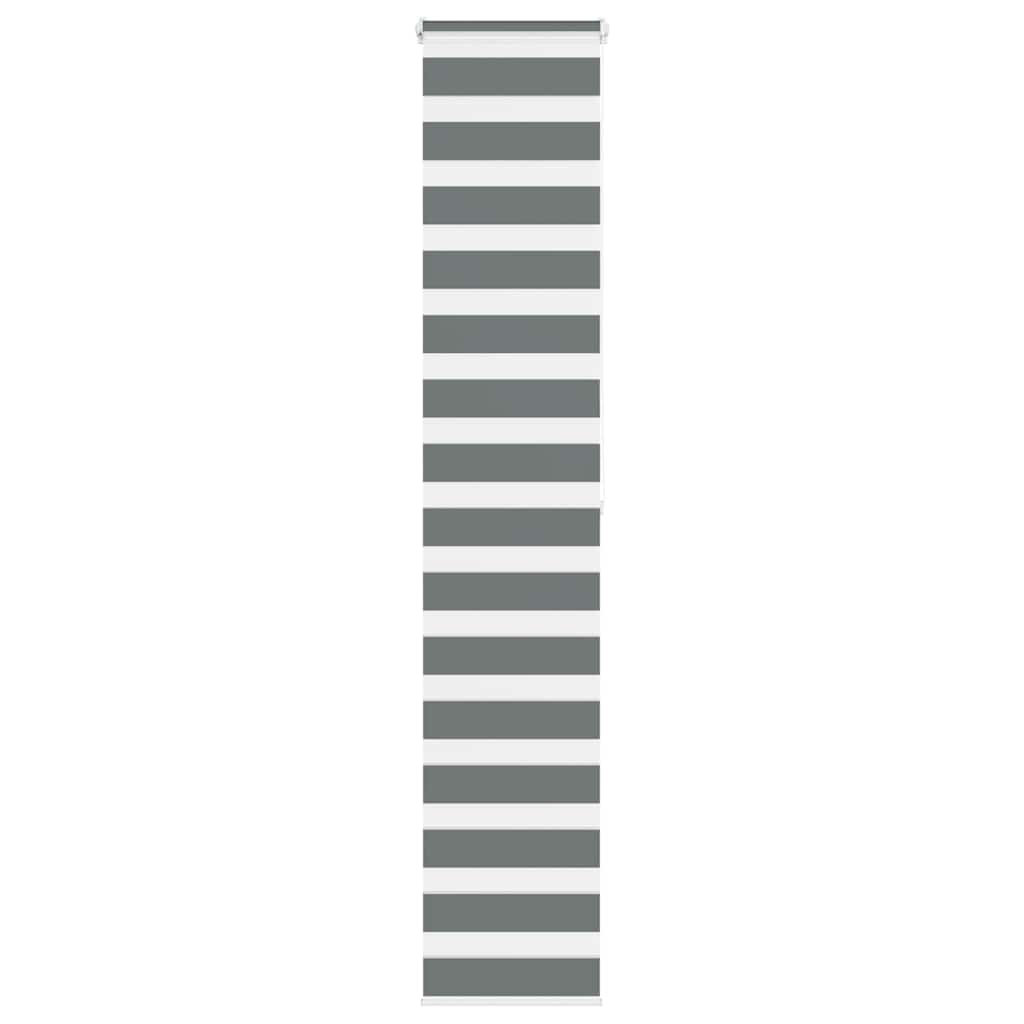 Vidaxl Zebra Roller Blind 40x200 cm Anipo de polvo 35.9 cm de gris oscuro