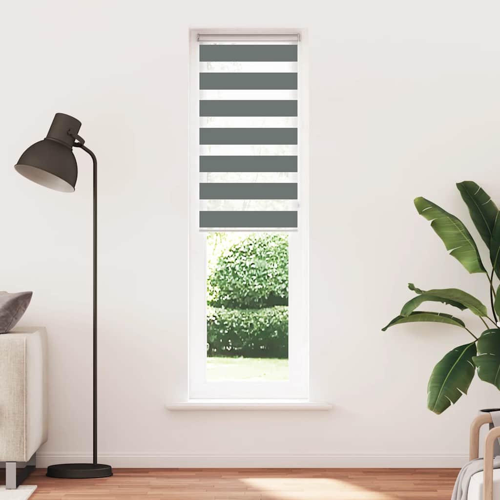 Vidaxl Zebra Roller Blind 55x200 CM Fabric Ancho 50.9 cm de gris oscuro