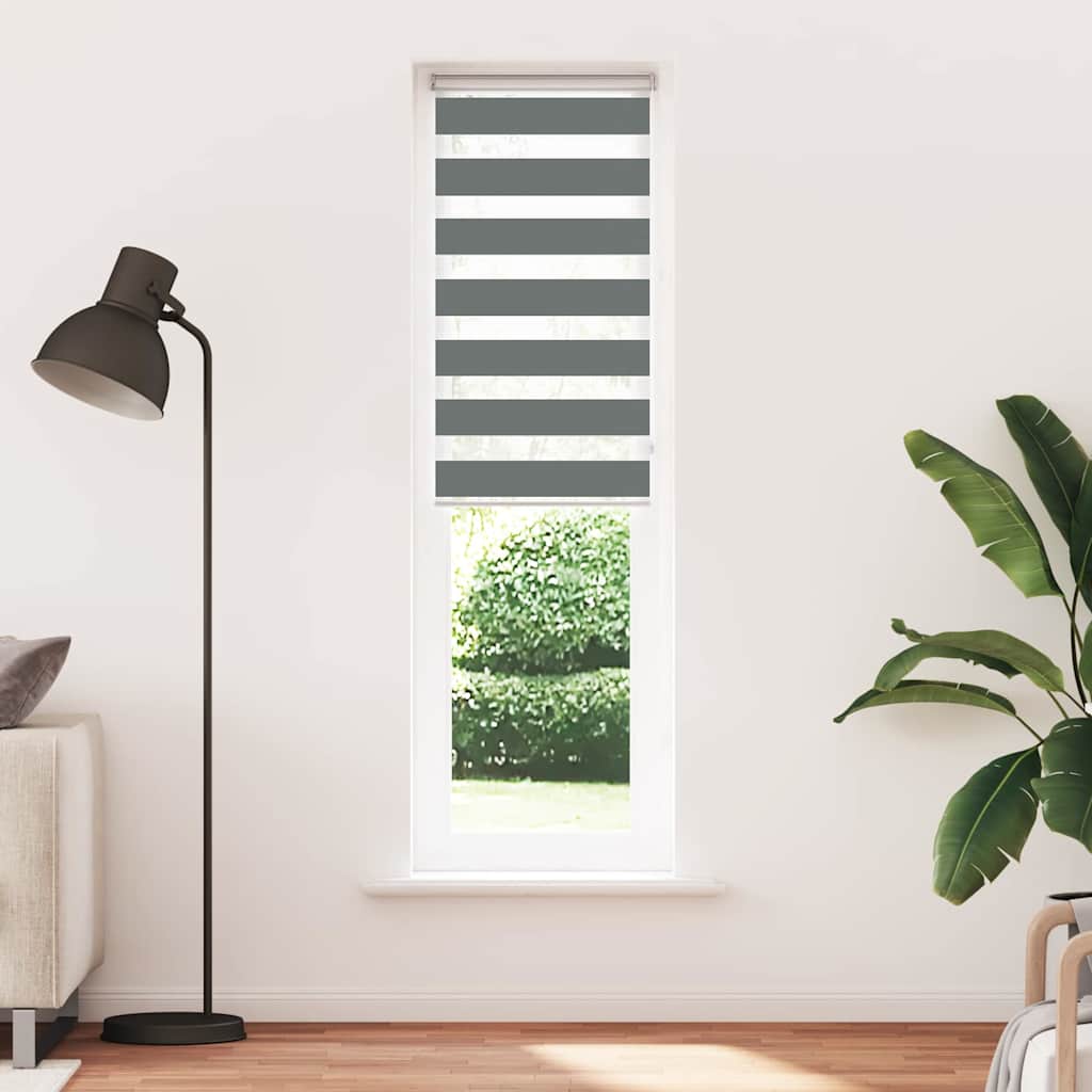 Vidaxl zebra rullo cieco 65x200 cm Larghezza tessuto 60,9 cm grigio scuro