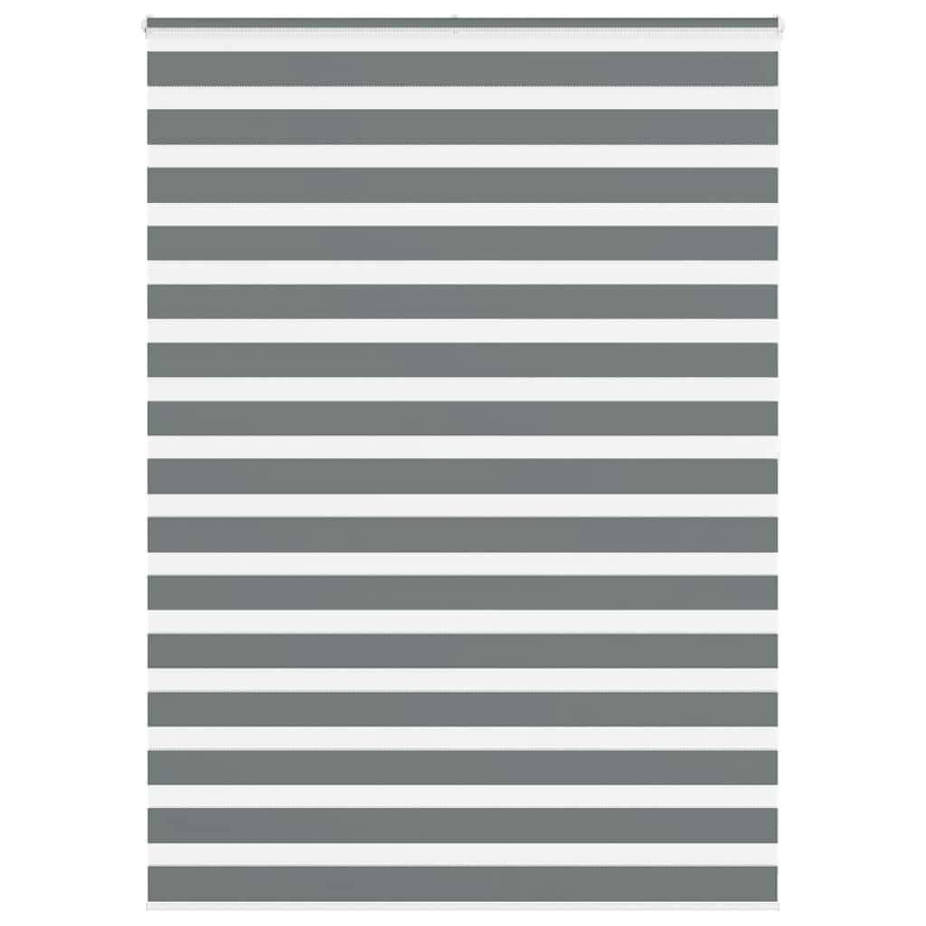 Vidaxl zebra rullo cieco 155x200 cm Larghezza tessuto 150,9 cm grigio scuro
