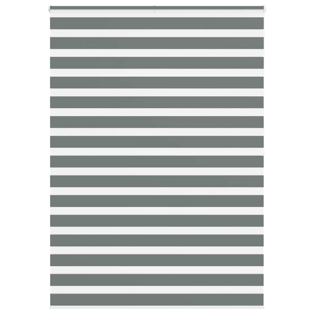 Vidaxl Zebra Roller Blind 165x200 CM Fabric Ancho 160.9 cm de color gris oscuro