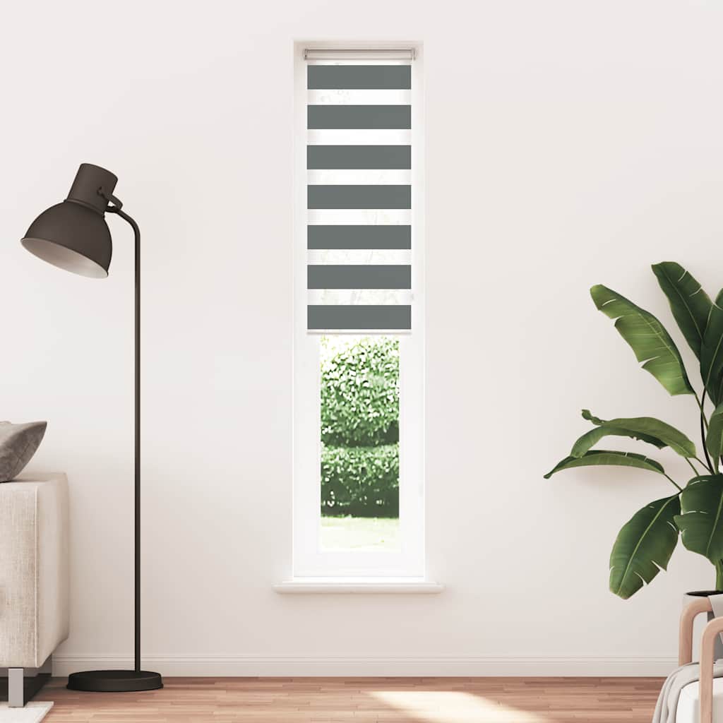 Vidaxl zebra rullo cieco 50x230 cm Larghezza tessuto 45,9 cm grigio scuro