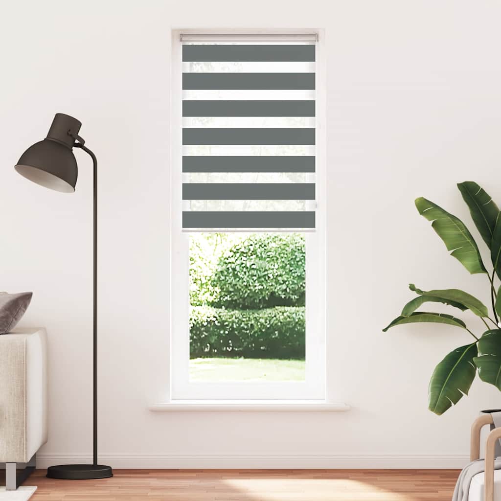 Vidaxl zebra rullo cieco 75x230 cm Larghezza tessuto 70,9 cm grigio scuro